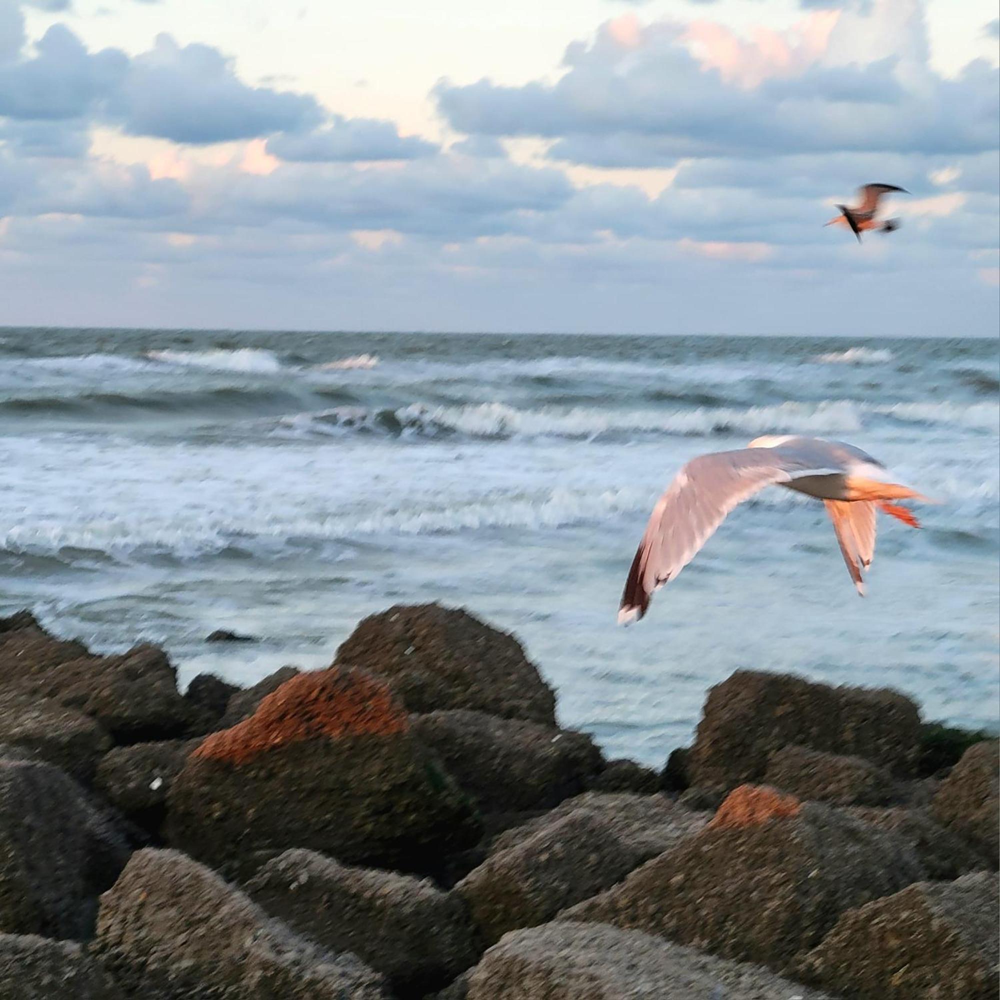 Caravan Aan Zee Arnani Middelkerke Esterno foto